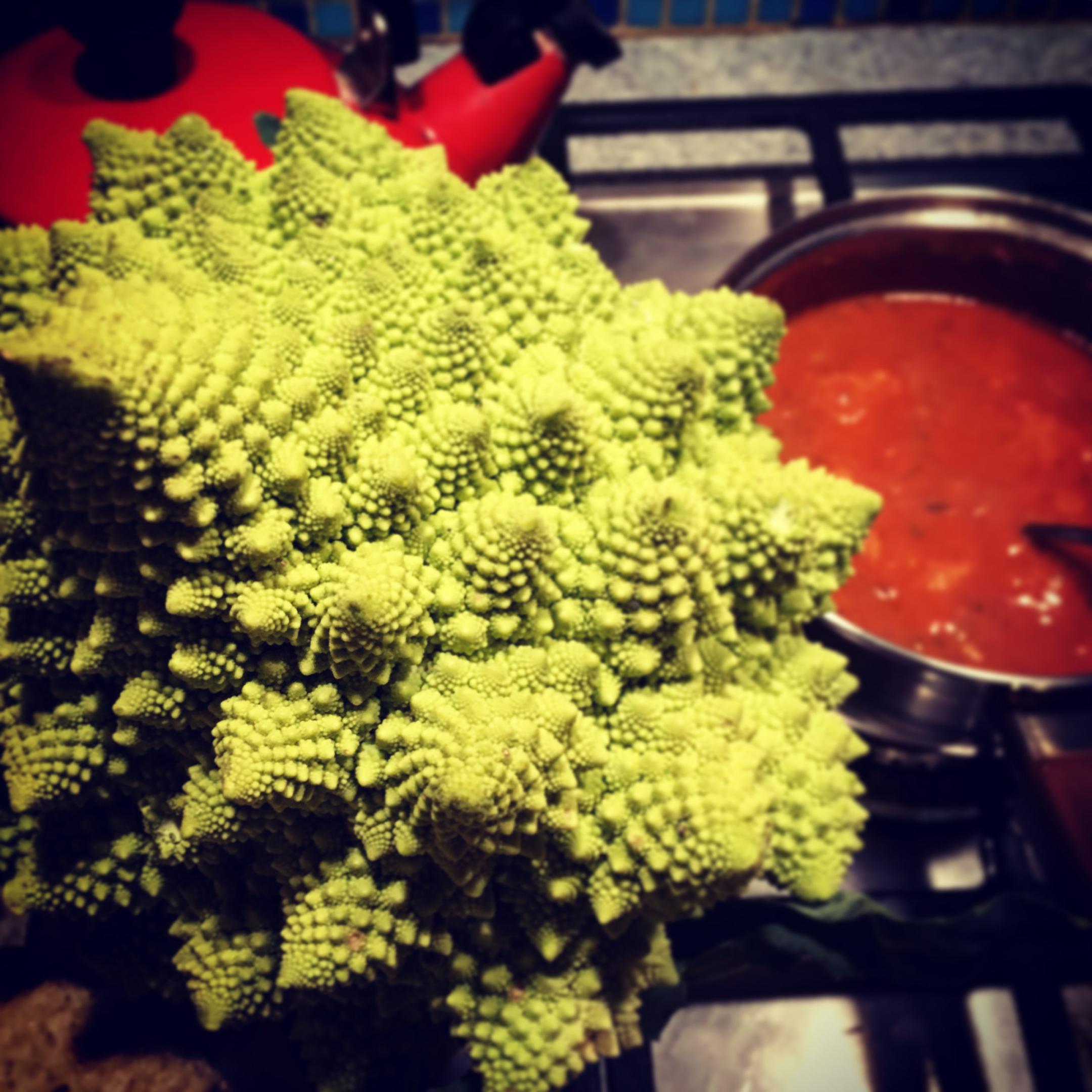 choux fractal