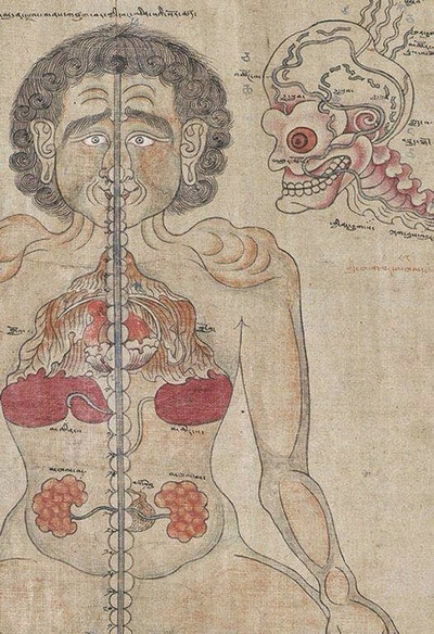 tibetan medicine