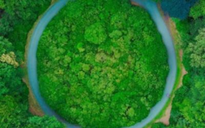 L&rsquo;homme fractale : pour une écologie intérieure.