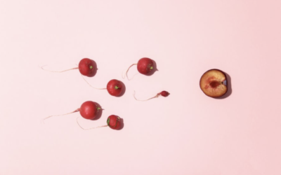 Vaisseaux Merveilleux: du Big Bang à l’unité