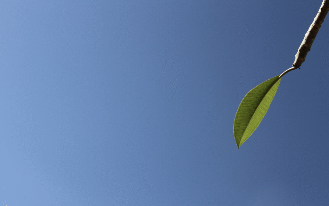 Vacuité, un plein de possibles