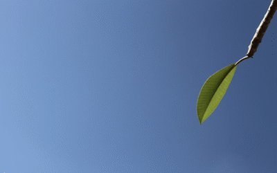 Vacuité, un plein de possibles